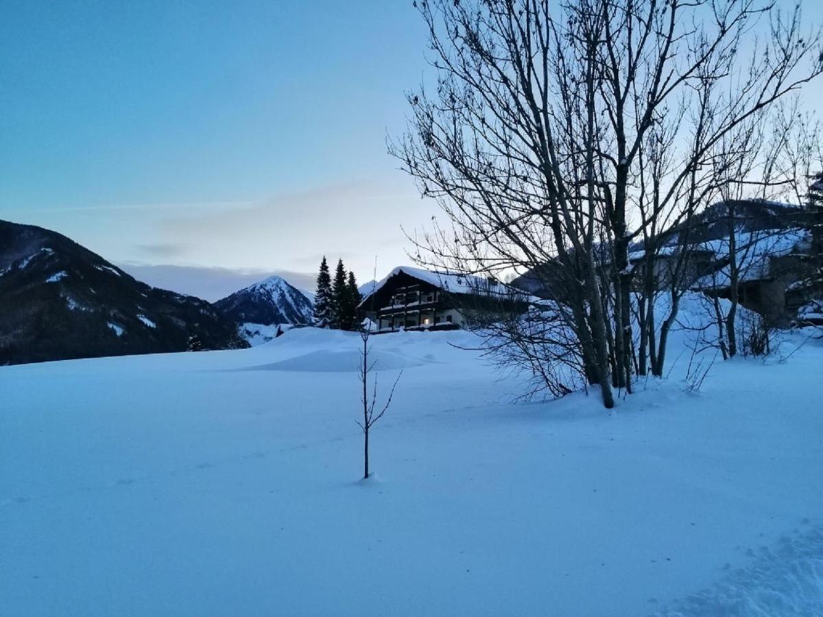 Zur Sonnigen, Eleganten Kuh Schladming Εξωτερικό φωτογραφία